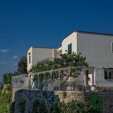 Villa La Pagaia Sorrento Coast Вико-Экуенсе Экстерьер фото