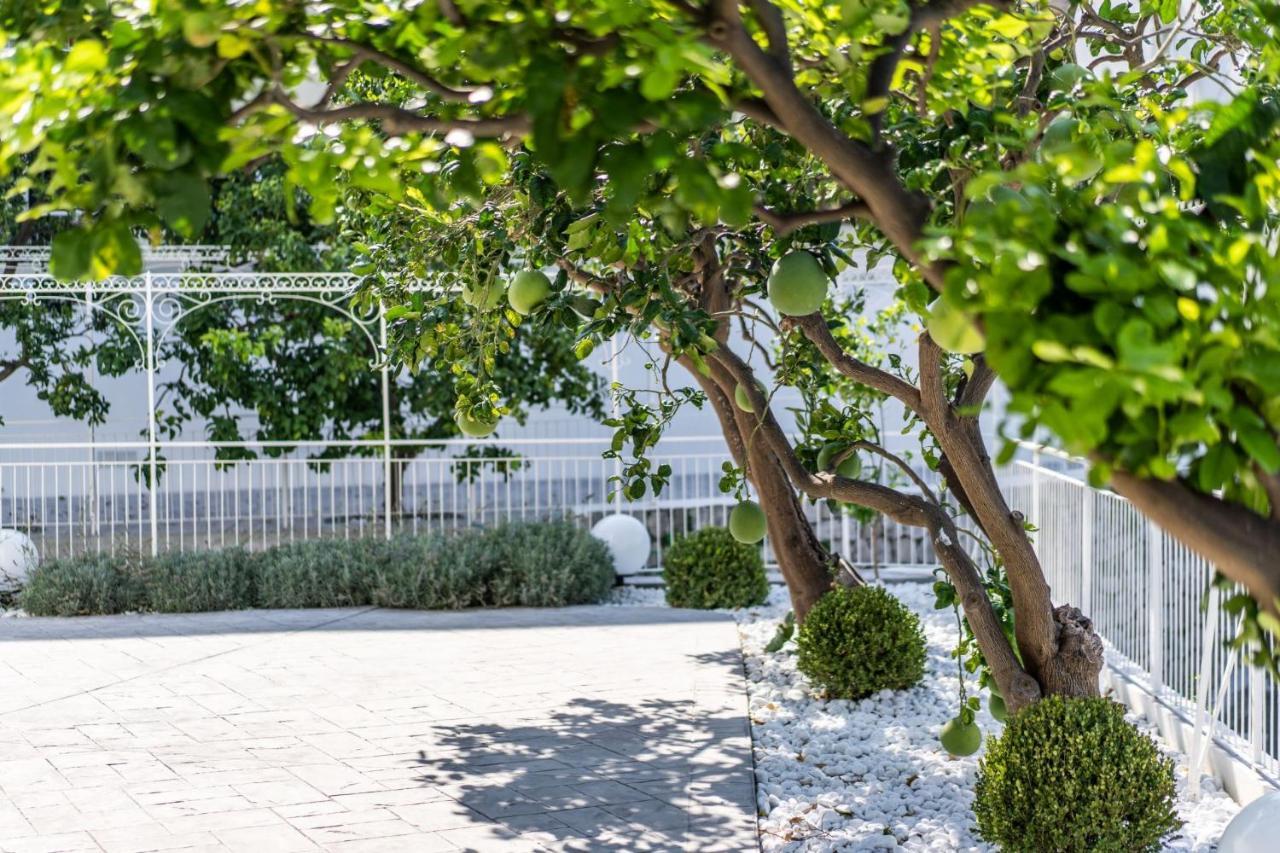 Villa La Pagaia Sorrento Coast Вико-Экуенсе Экстерьер фото