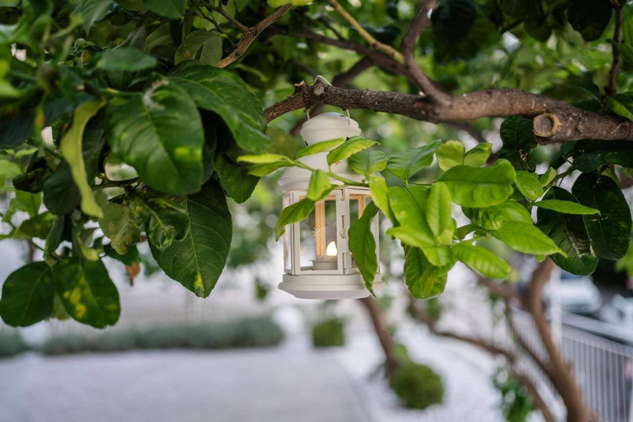 Villa La Pagaia Sorrento Coast Вико-Экуенсе Экстерьер фото